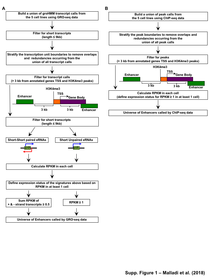 Figure S2: Unbiased, genome-wide prediction of active enhancers. (A) Overview of the computational pipeline used for the genome-wide annotation of enhancer transcripts (eRNAs) and prediction of active enhancers using GRO-seq data. (B) Overview of the computational pipeline used for the genome-wide annotation of and prediction of active enhancers using ChIP-seq (H3K4me1 and H3K27ac) data.